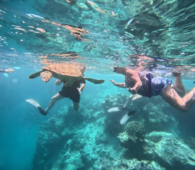 Snorkel Cook Islands photo 3