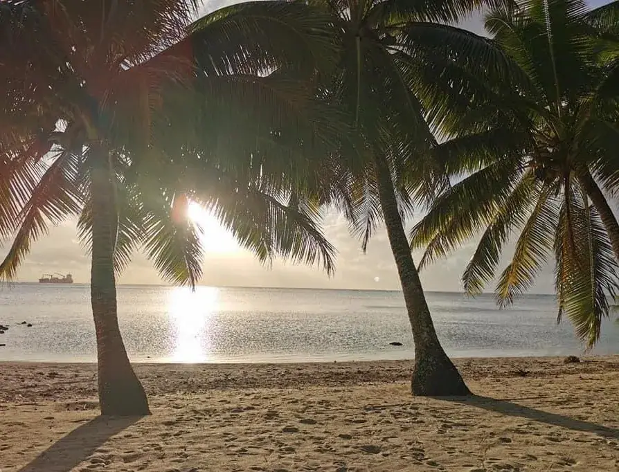 Sunny Beach Lodge photo 2