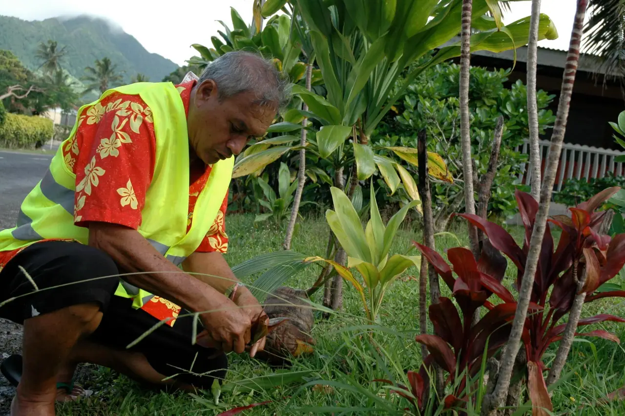 The Avarua Historical Walking tour with Cook Islands Tours photo 5