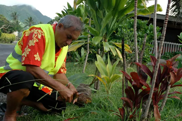 The Avarua Historical Walking tour with Cook Islands Tours photo 5