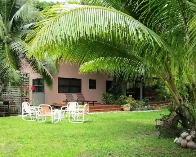 The Tree House Lodge