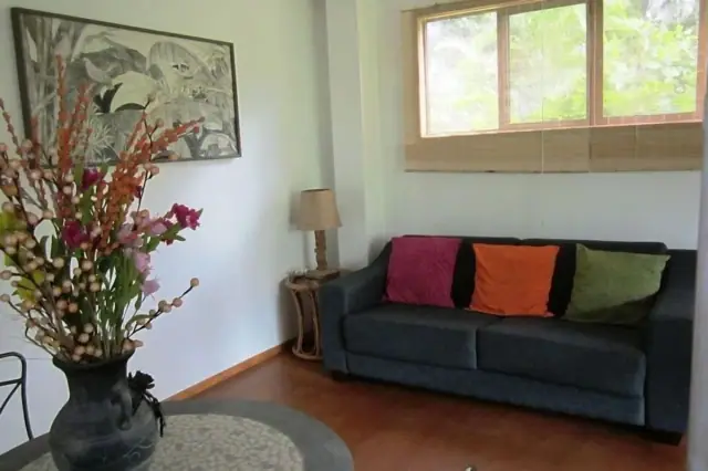 The Tree House Lodge photo 2