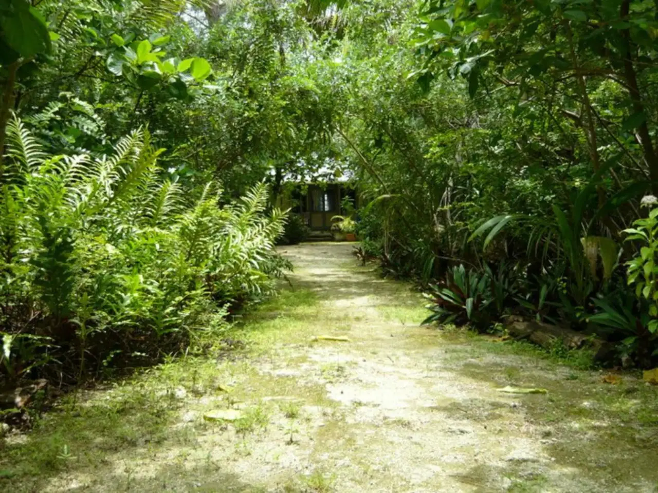 Tiare Cottages photo 3