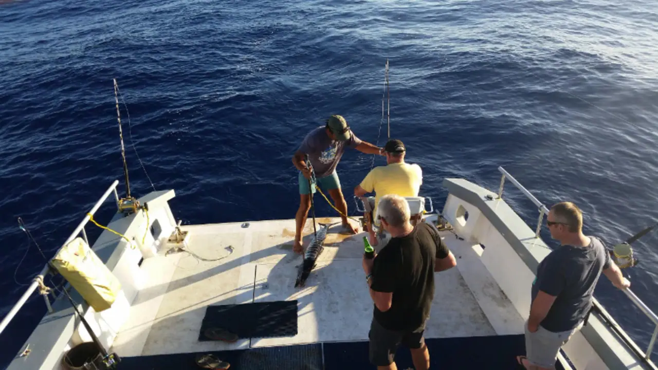 Vision Fishing Charters photo 2
