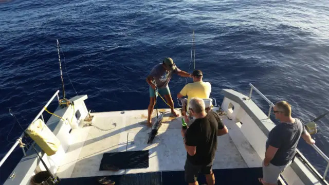 Vision Fishing Charters photo 2