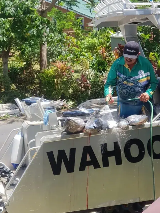 Wahoo Fishing Charters photo 5
